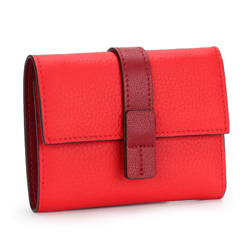 Ario Élan Mini Clutch